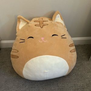 14” Cat Squishmallow
